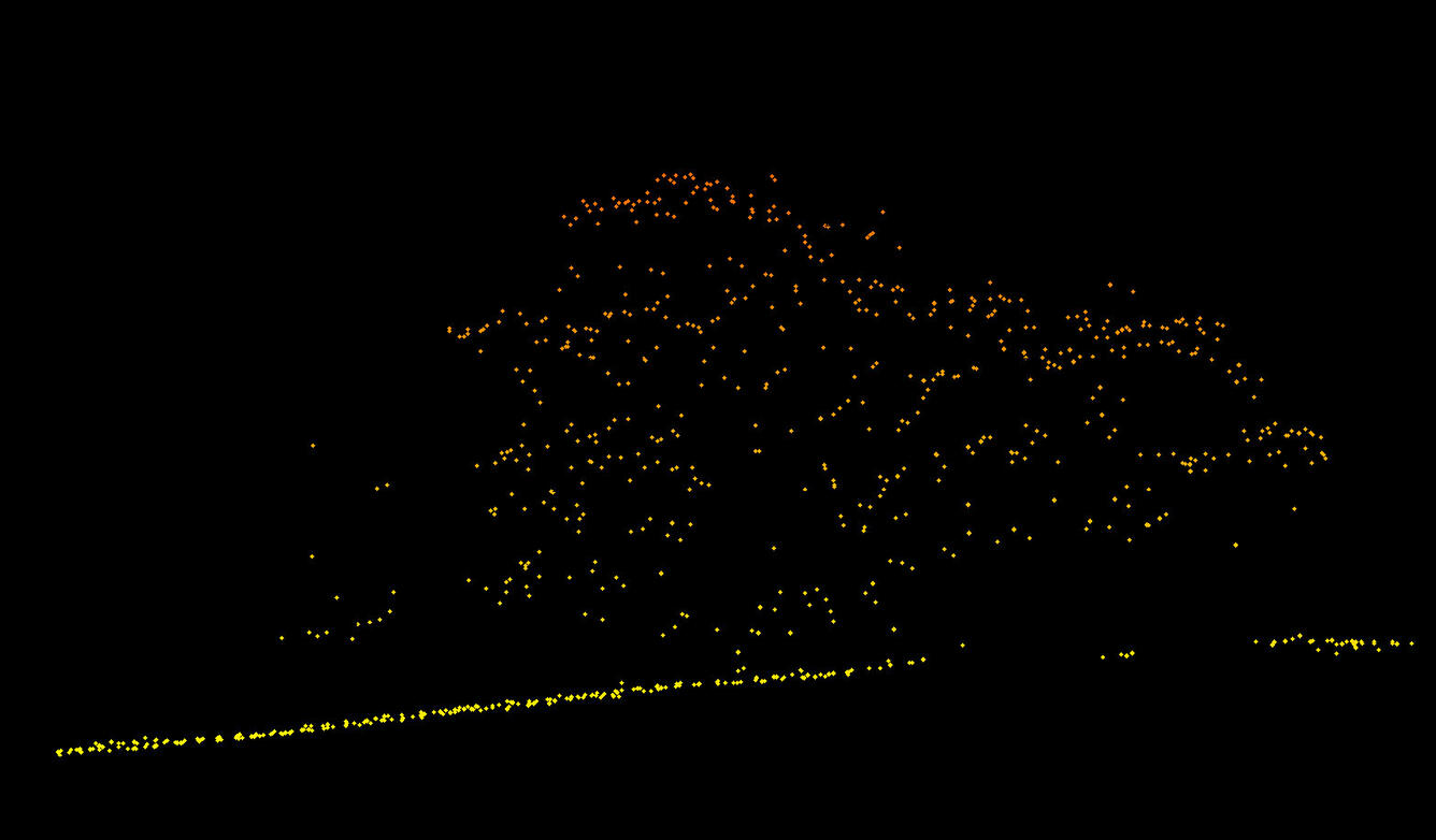 3dep_profile_Linear_colored_by_elevation_tree