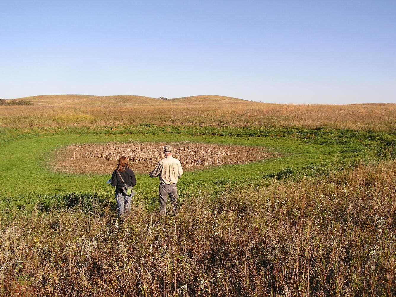 Examining plant community zones in a temporary wetland in North Dakota