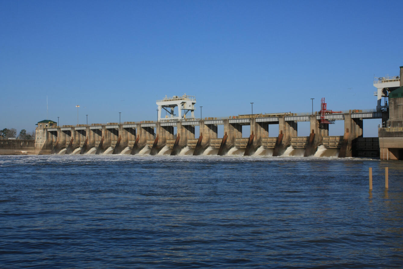 Jim Woodruff Dam, Apalachicola River