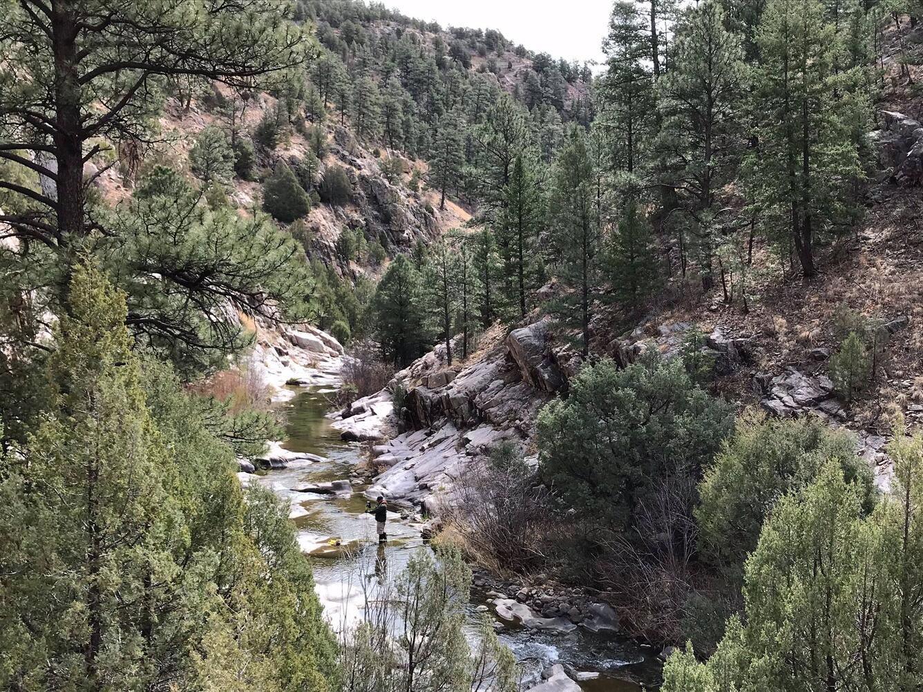 USGS, NM Water Science Center, Gallinas Creek discharge measurement