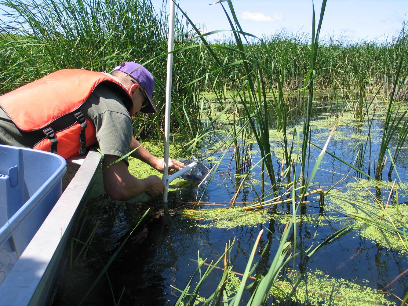 Photo showing the collection of  aquatic invertebrate samples.