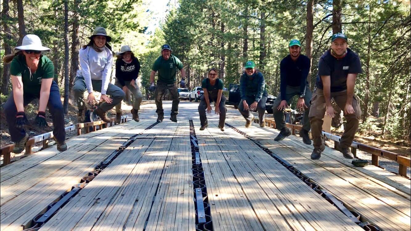 USGS and US Forest Service employees get “hoppy” on Toad Road in Yosemite National Park.