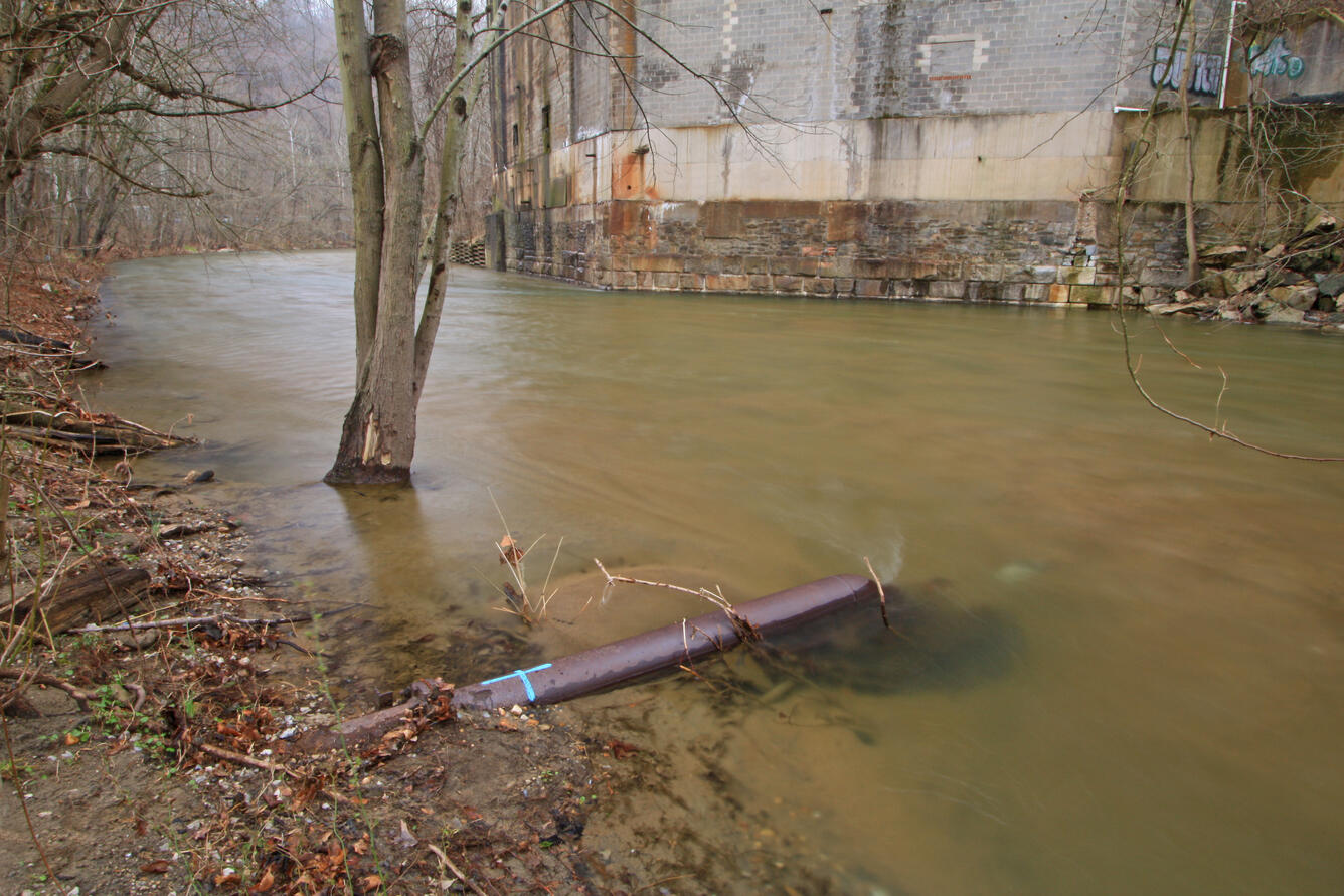 Patapsco River at Ilchester Paper Mill site, Maryland