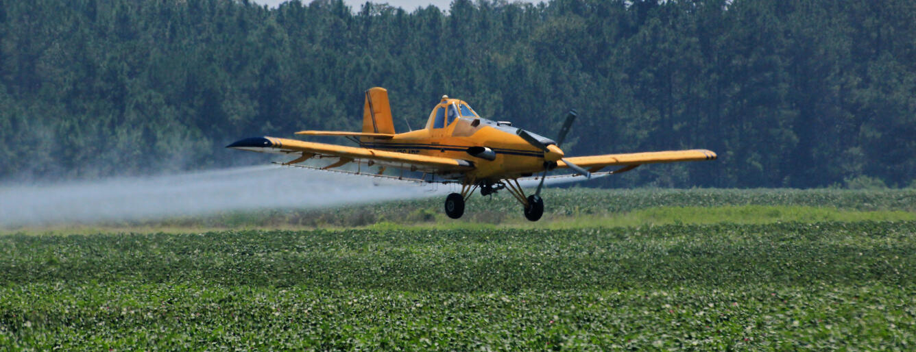 A yellow crop duster lets fall a cloud of spray on a cotton crop