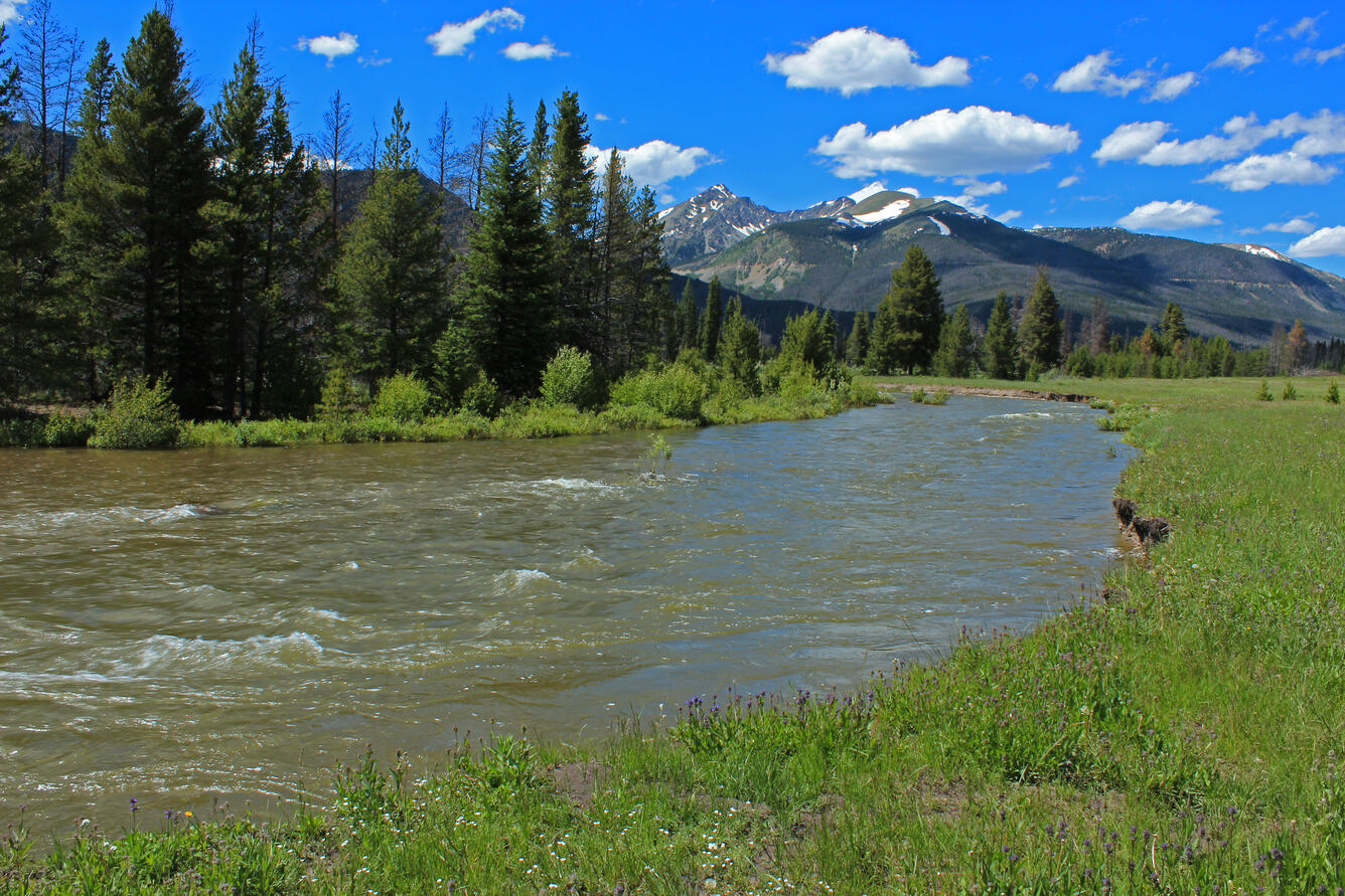 Colorado River, Kawuneeche Valley, Grand County, Colorado