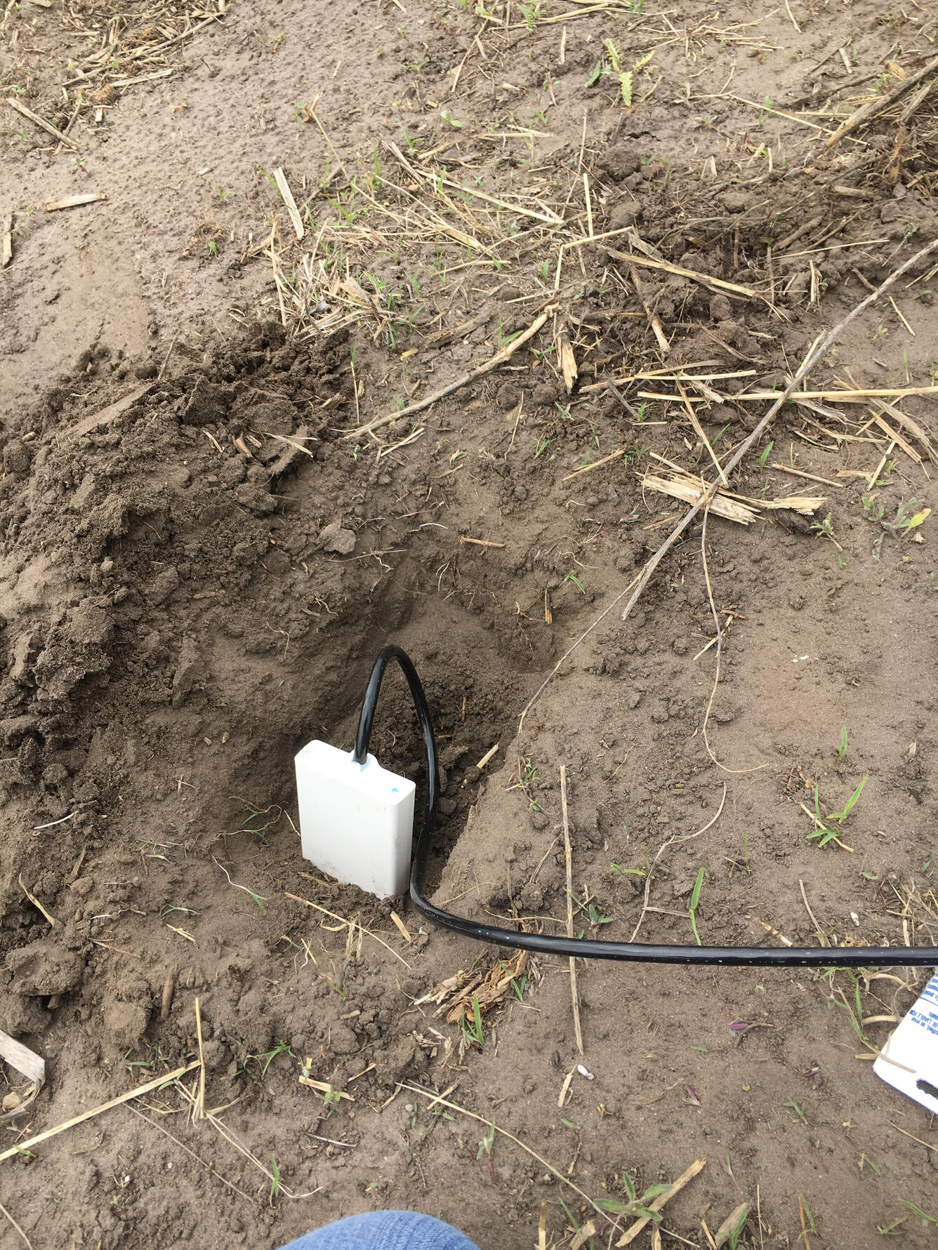 Soil Moisture Probe