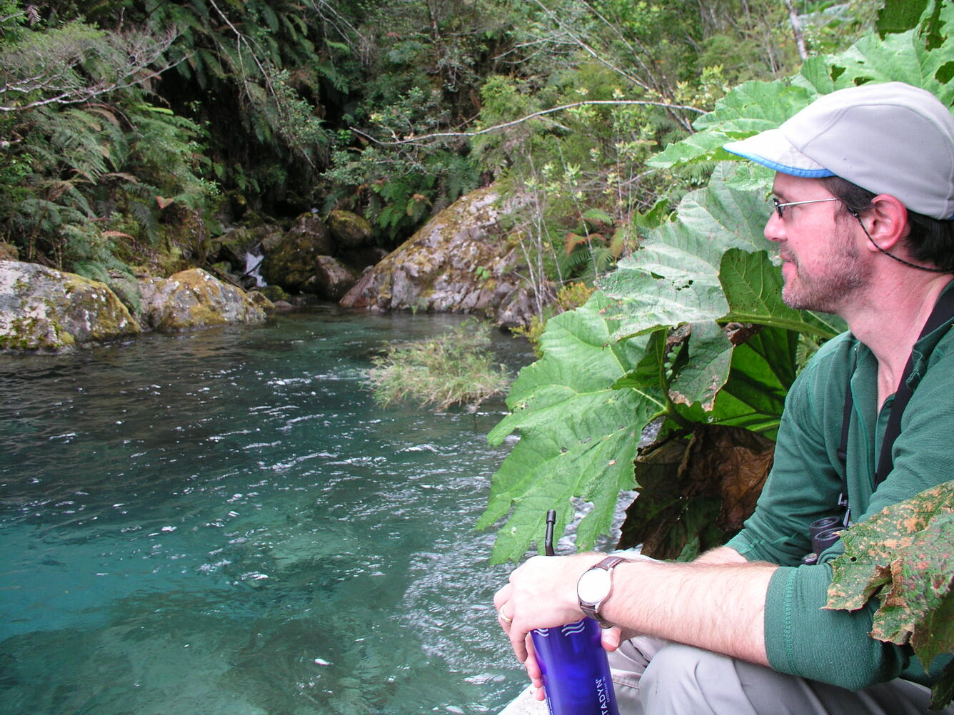 Scientist gazes over river