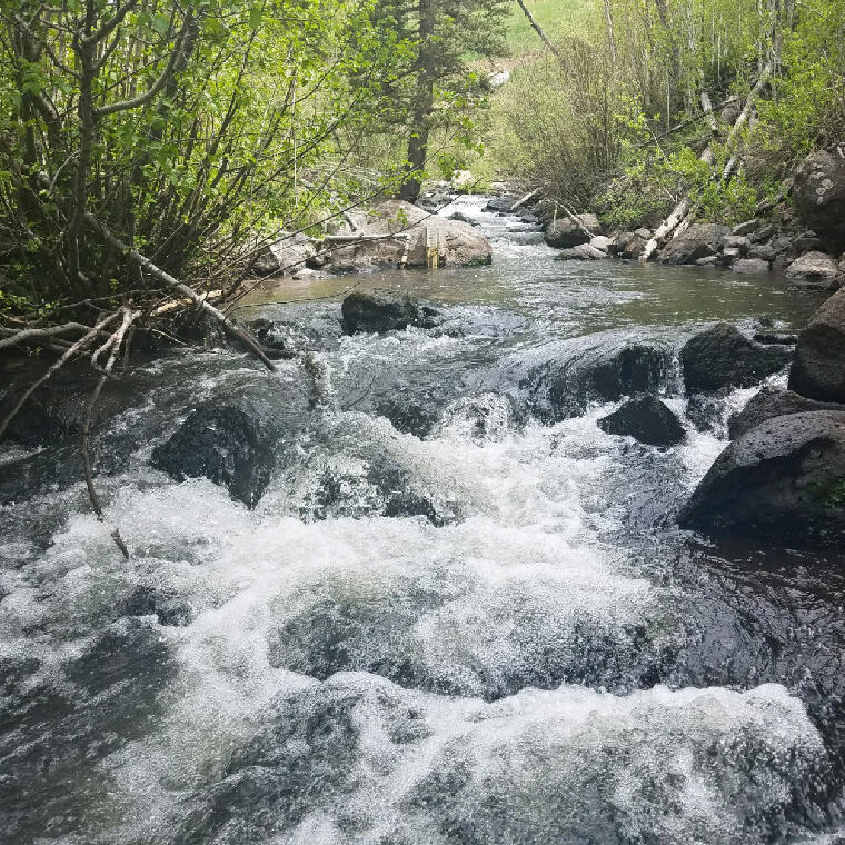 Water flows around small boulders in Seven Mile Creek near Fish Lake, Utah