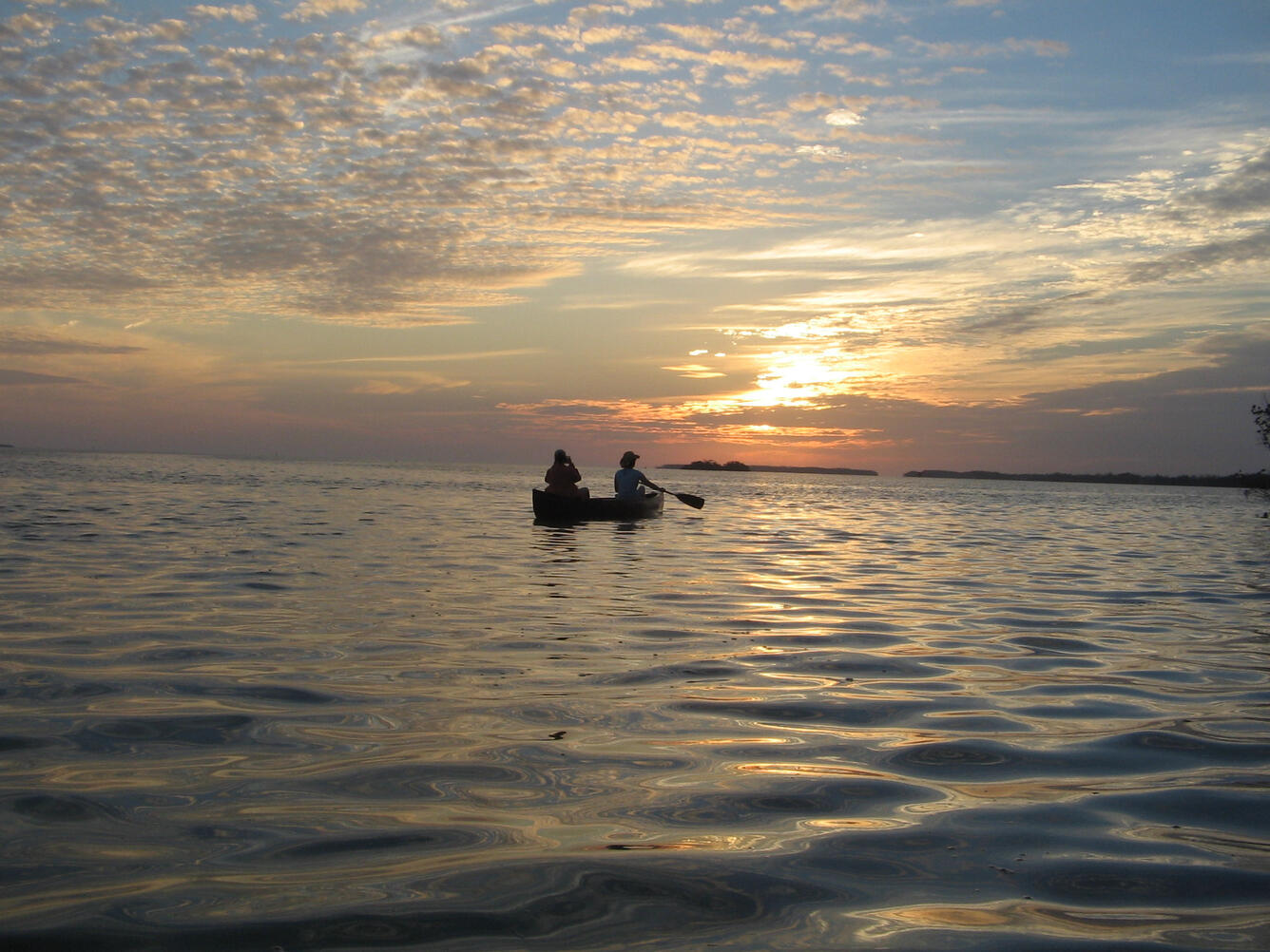 Flamingo Canoe Trail, Everglades National Park