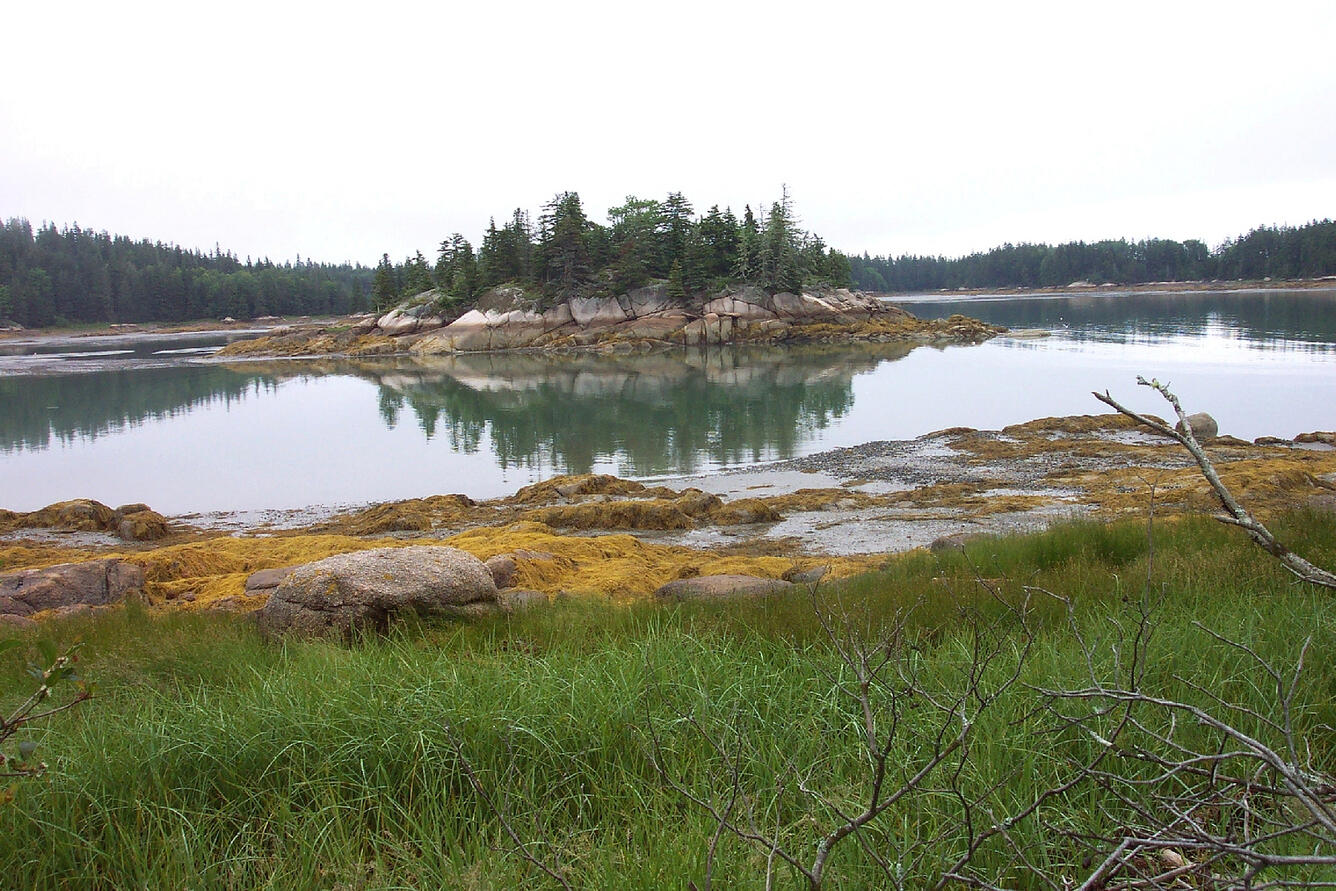 Rocky coastal islet, Deer Isle, Maine