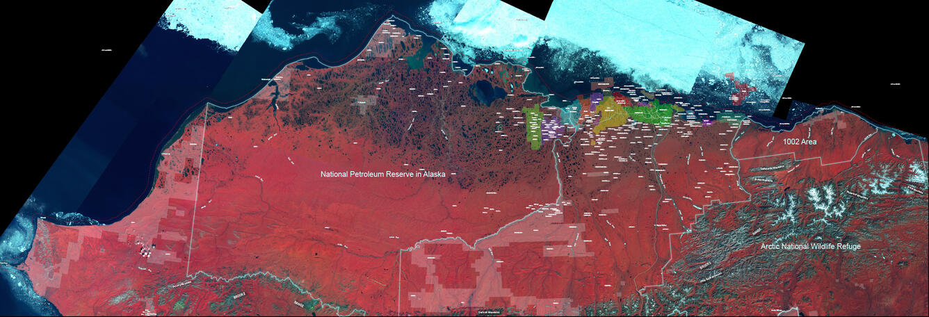 False-color composite Landsat image of northern Alaska