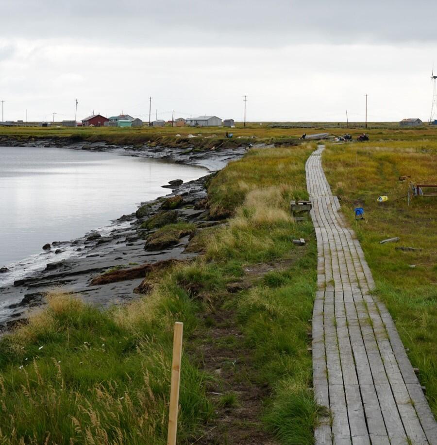 Adaptation in Alaska