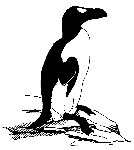 American Ornithologists’ Union (AOU)