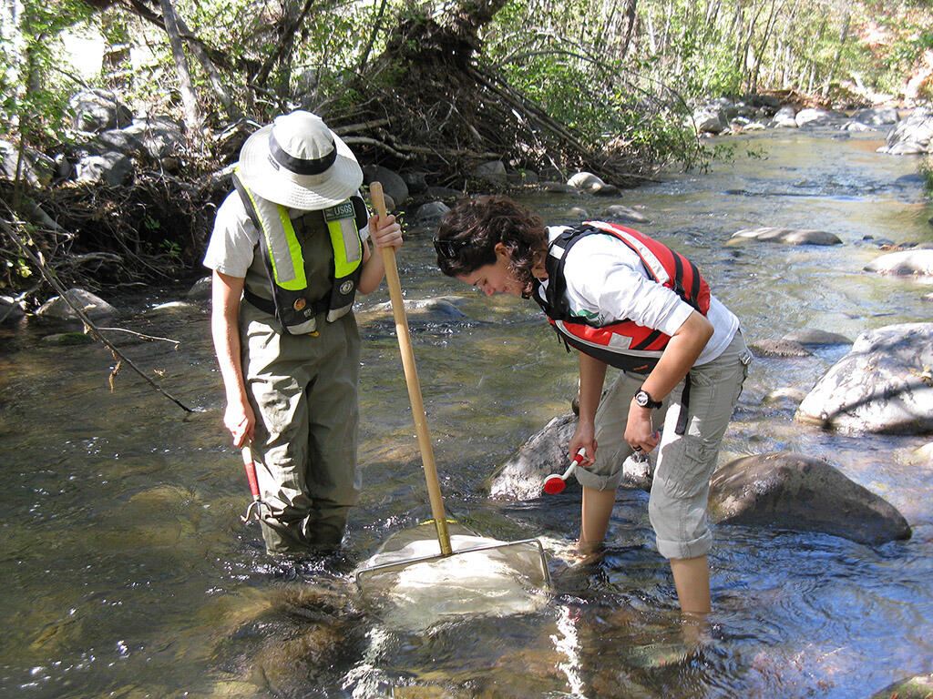 Collecting aquatic invertibrates