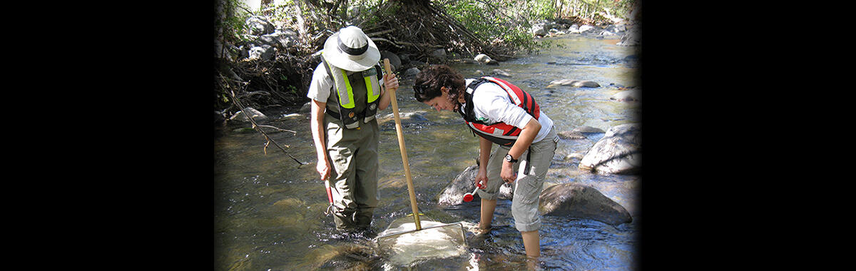Photo of scientists collecting aquatic invertibrates, West Clear Creek near Camp Verde, AZ