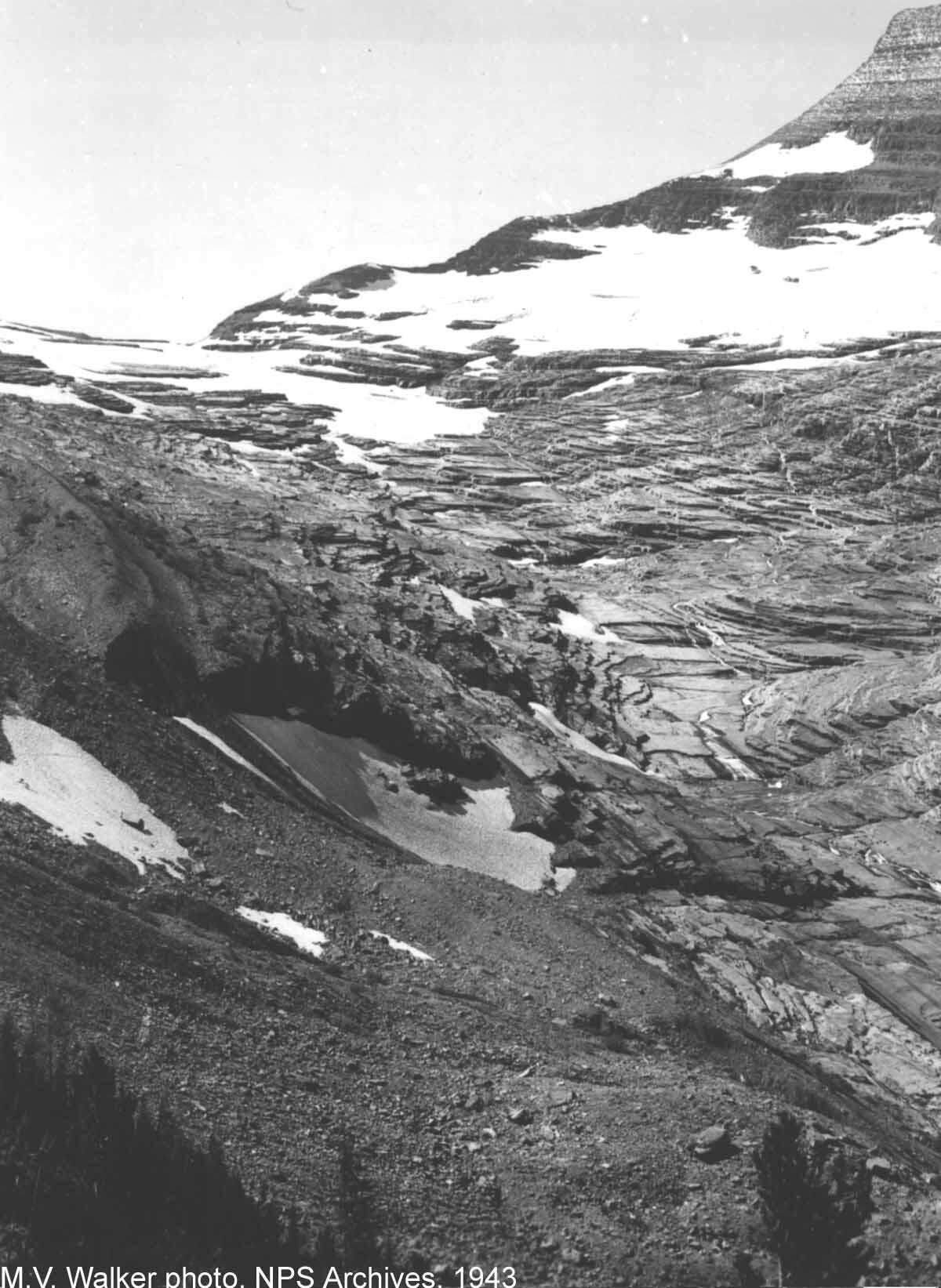 Agassiz Glacier, GNP - 1943