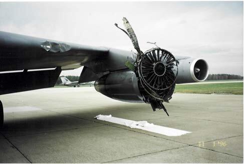 Aircraft with wing damaged in birdstrike