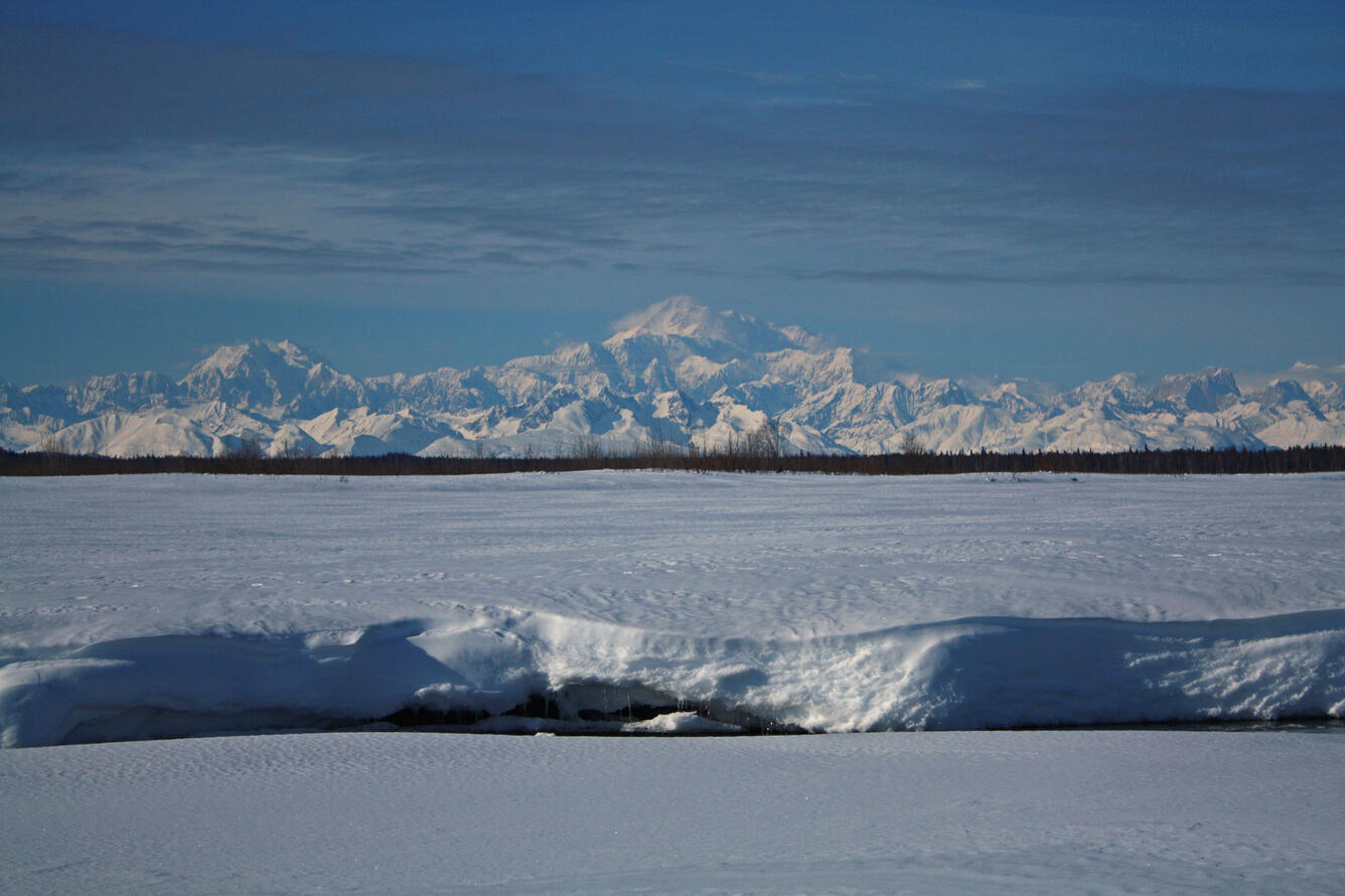 Arctic tundra - upper Alaska