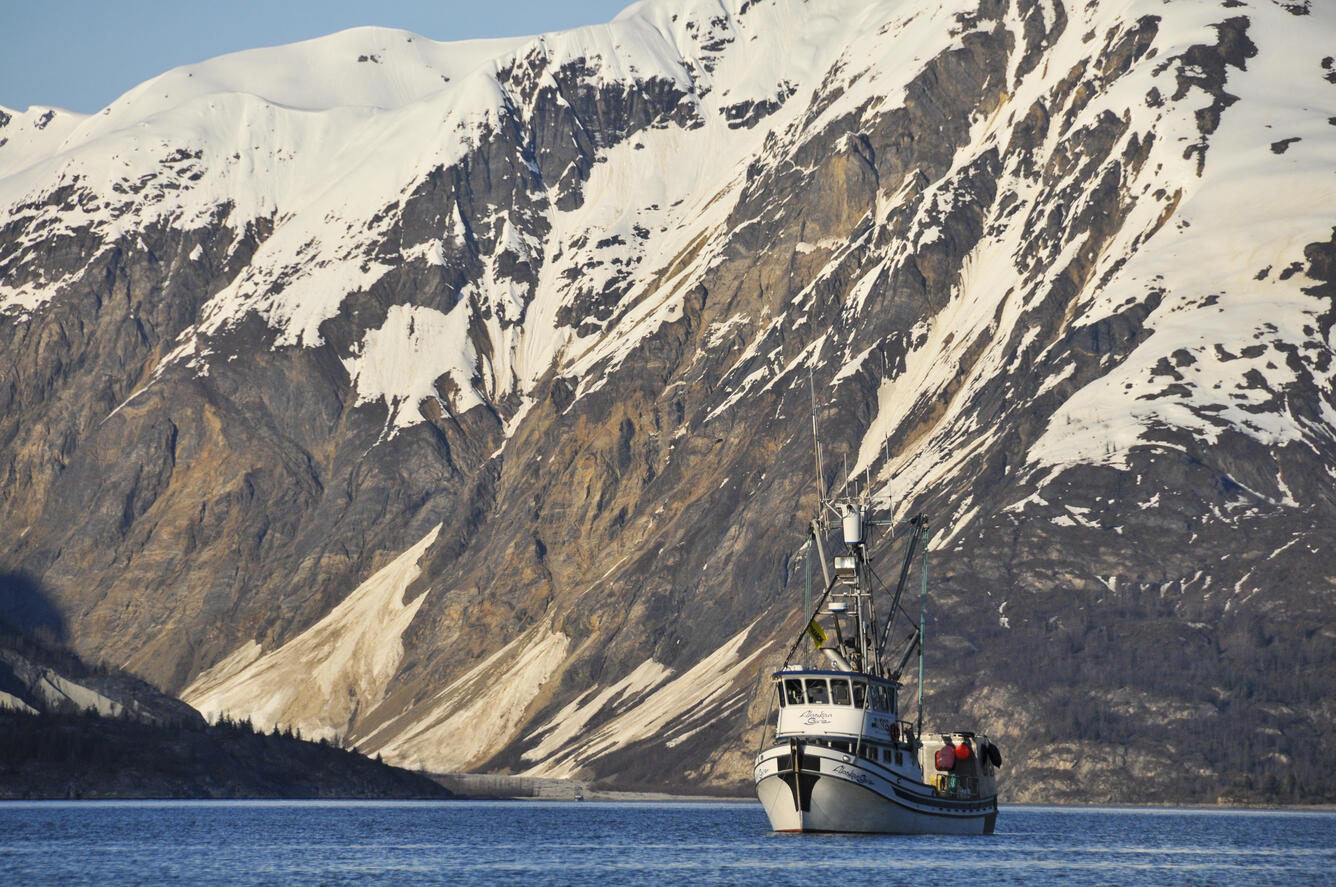 The R/V Alaskan Gyre in Prince William Sound, Alaska with a mountain background