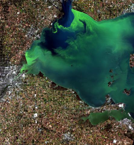 Color Landsat image of algal bloom