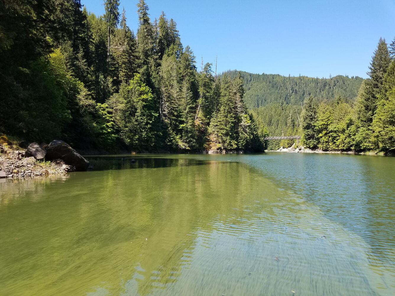 Algal bloom in Detroit Lake - North Santiam River, Oregon