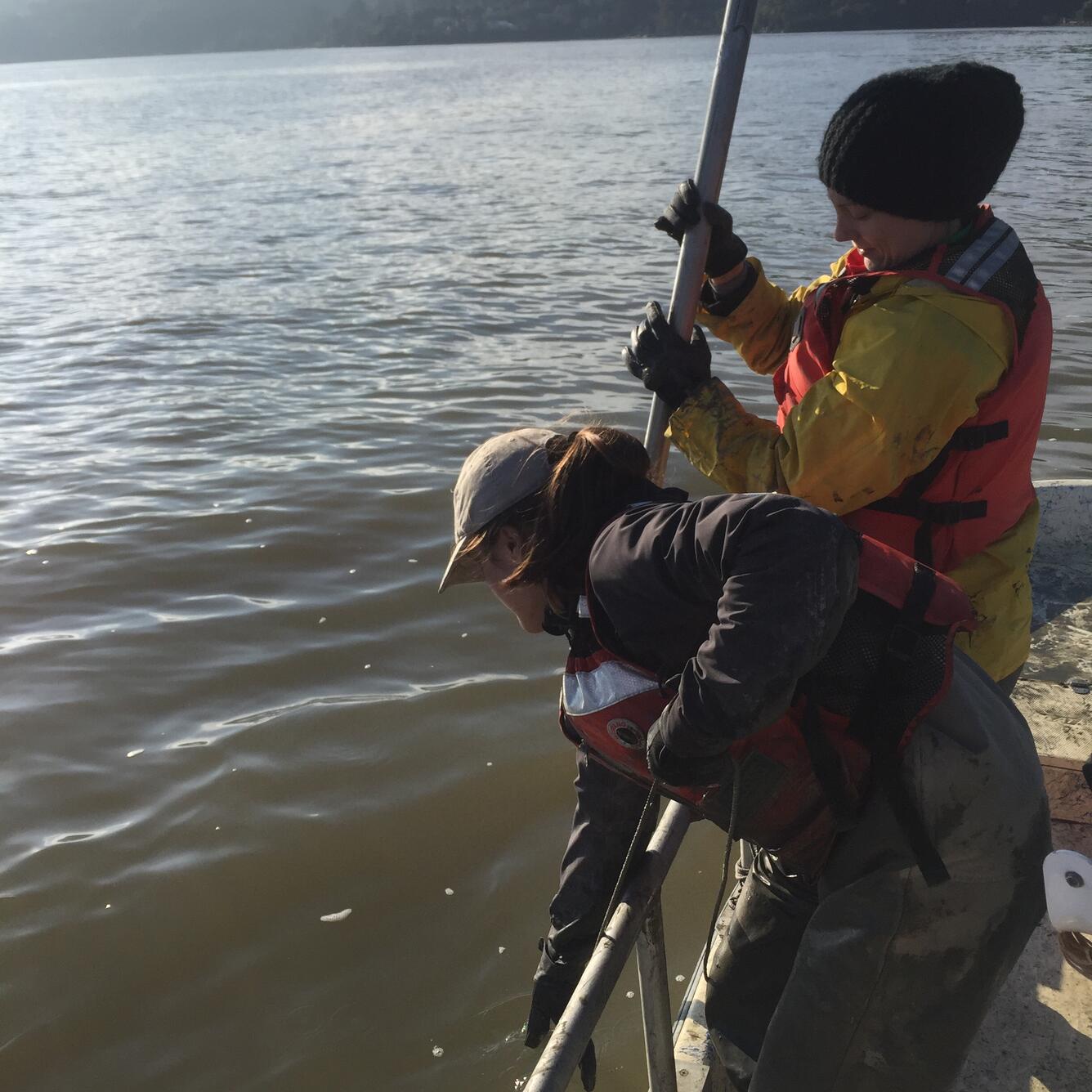 Researchers taking coring sample