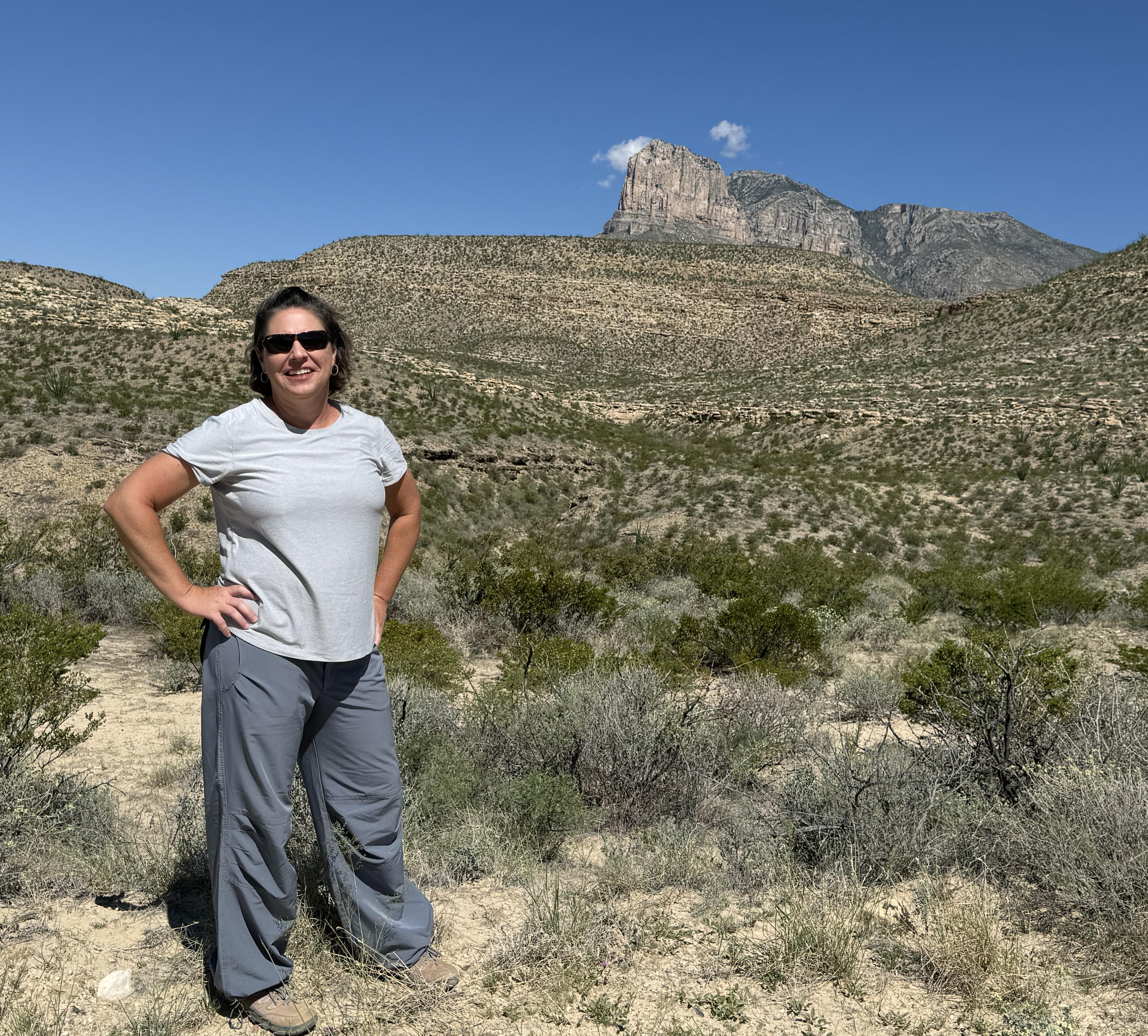 Andrea Cicero Profile Picture