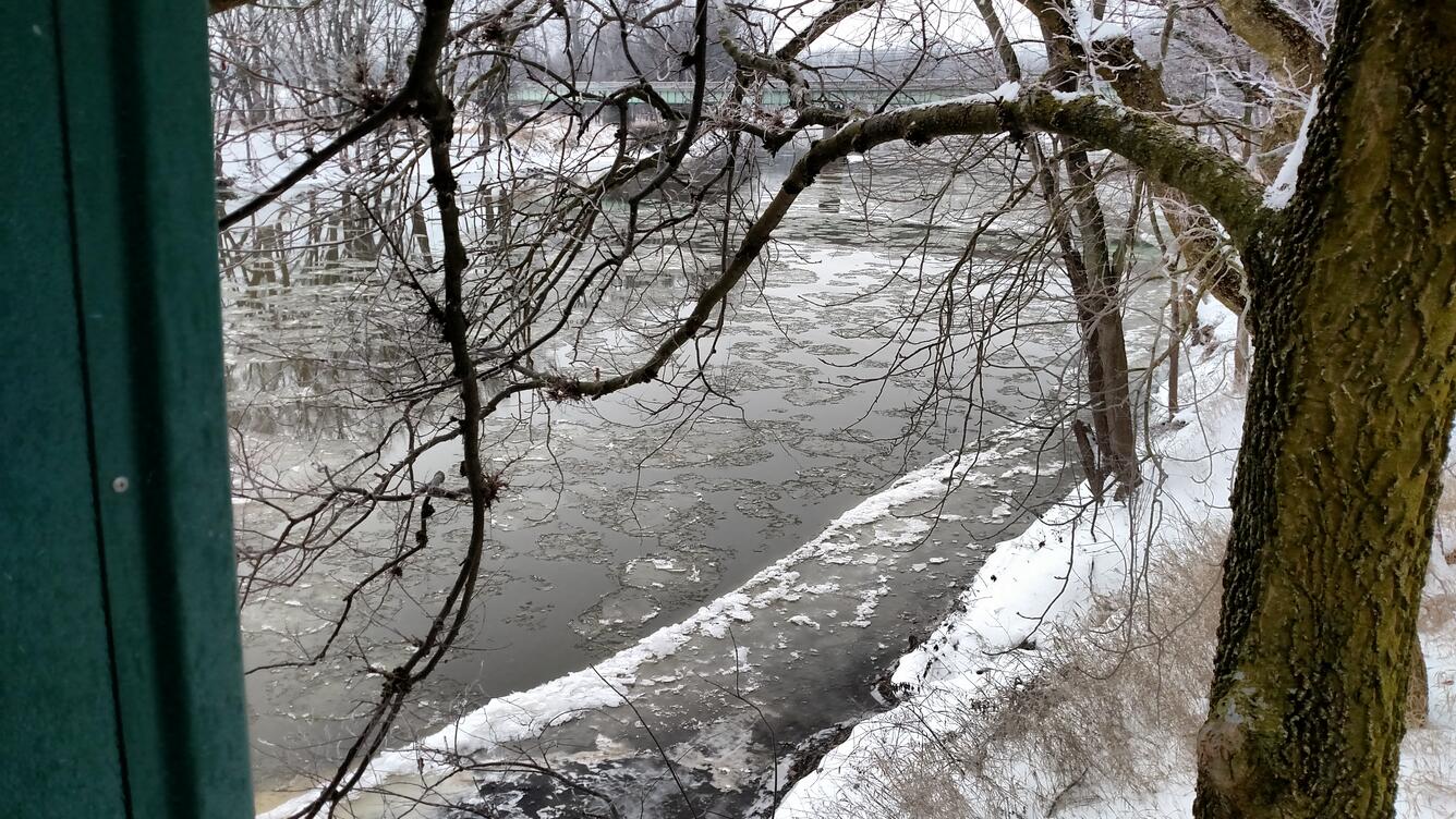 Maumee River at Antwerp, OH