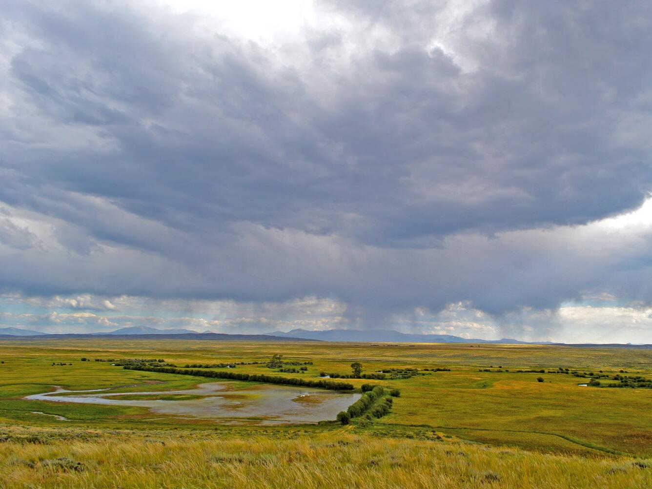 Grasslands with rain clouds in the distance