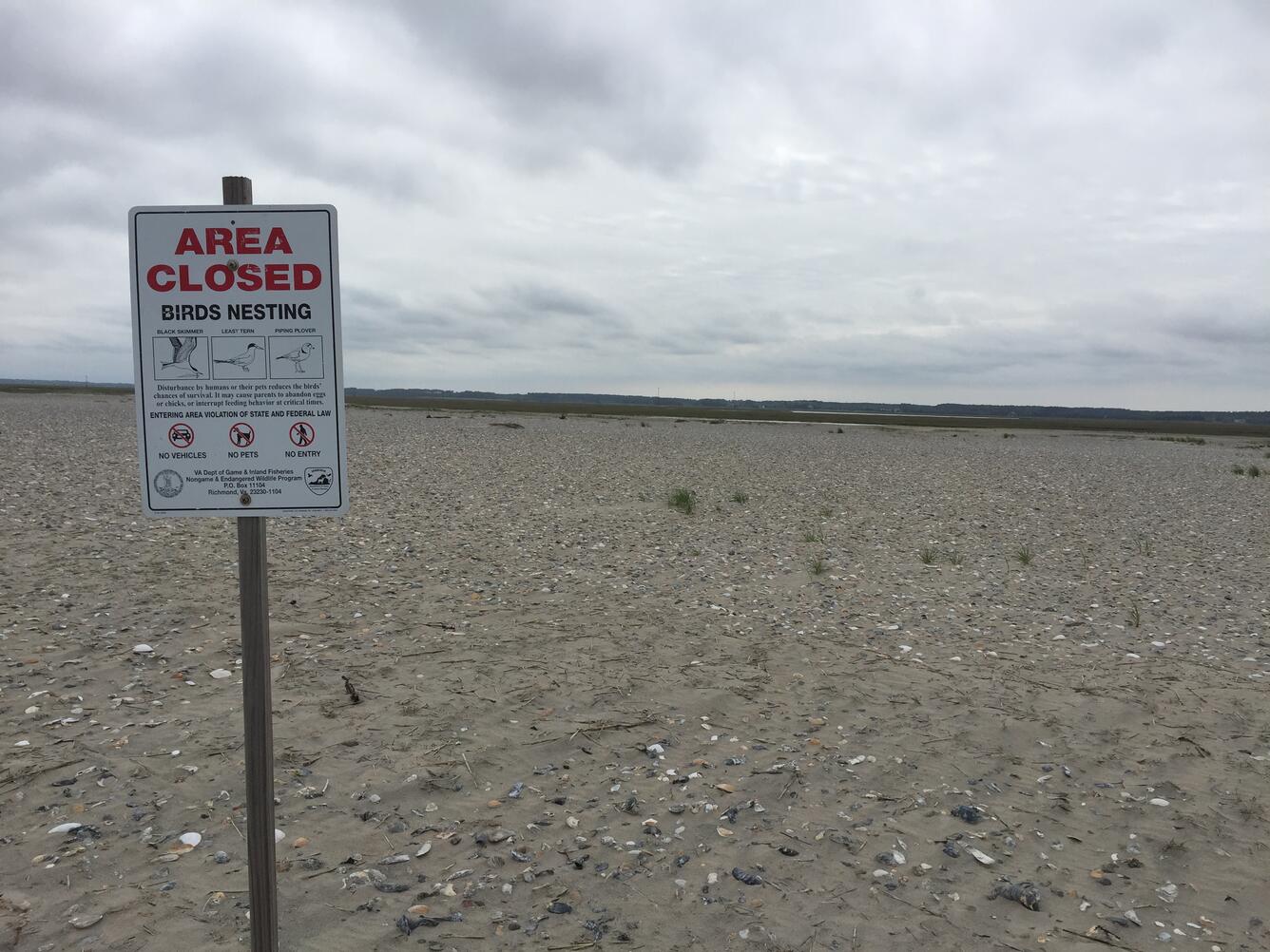 photo shows an area on Long Beach Island, NJ where high quality shorebird habitat has been closed off to beach recreation.