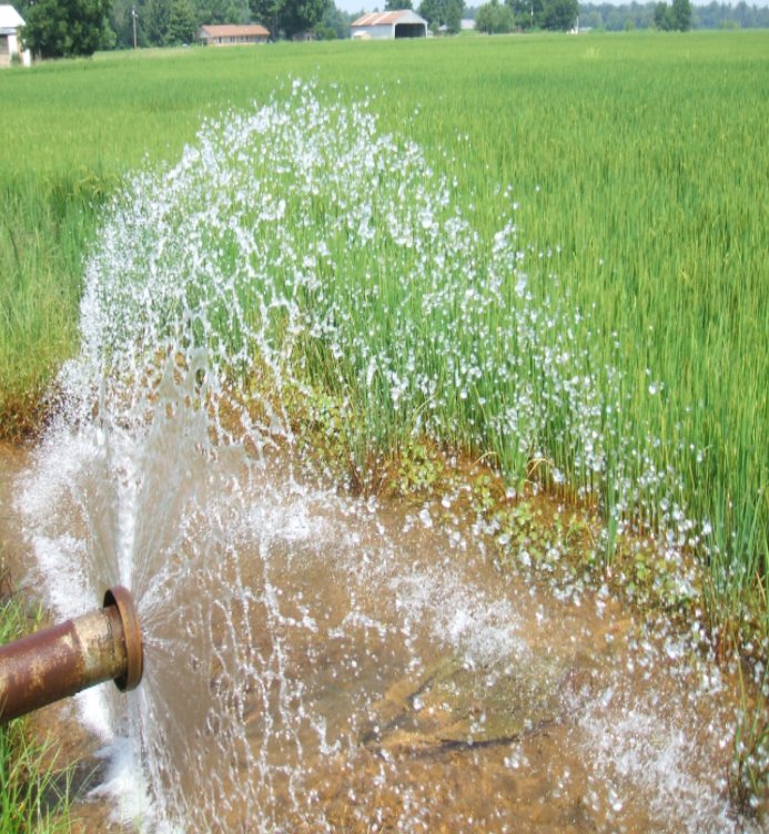 Groundwater Well in rice field - Arkansas photograph