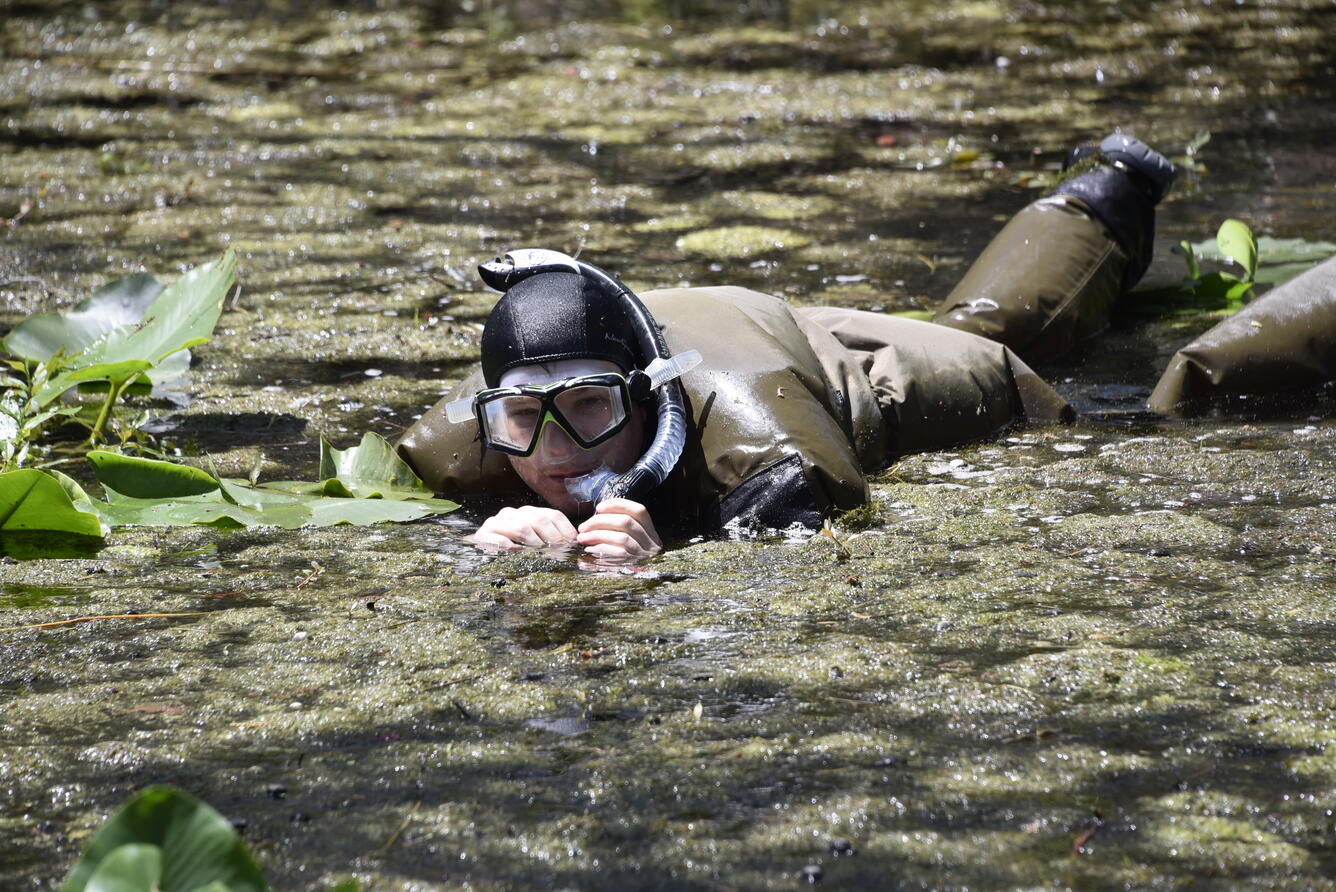  Assessing the distribution and habitat needs of the least darter 