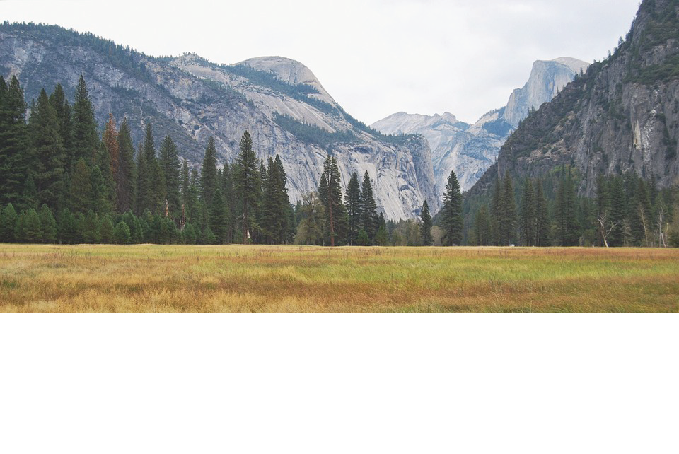 Image of Yosemite Valley