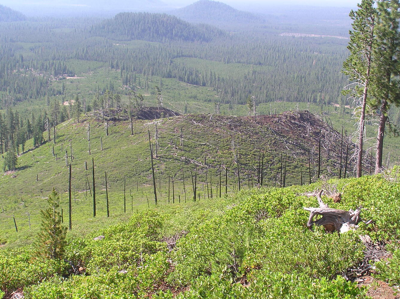 Asta Cone as viewed from Kweo Butte