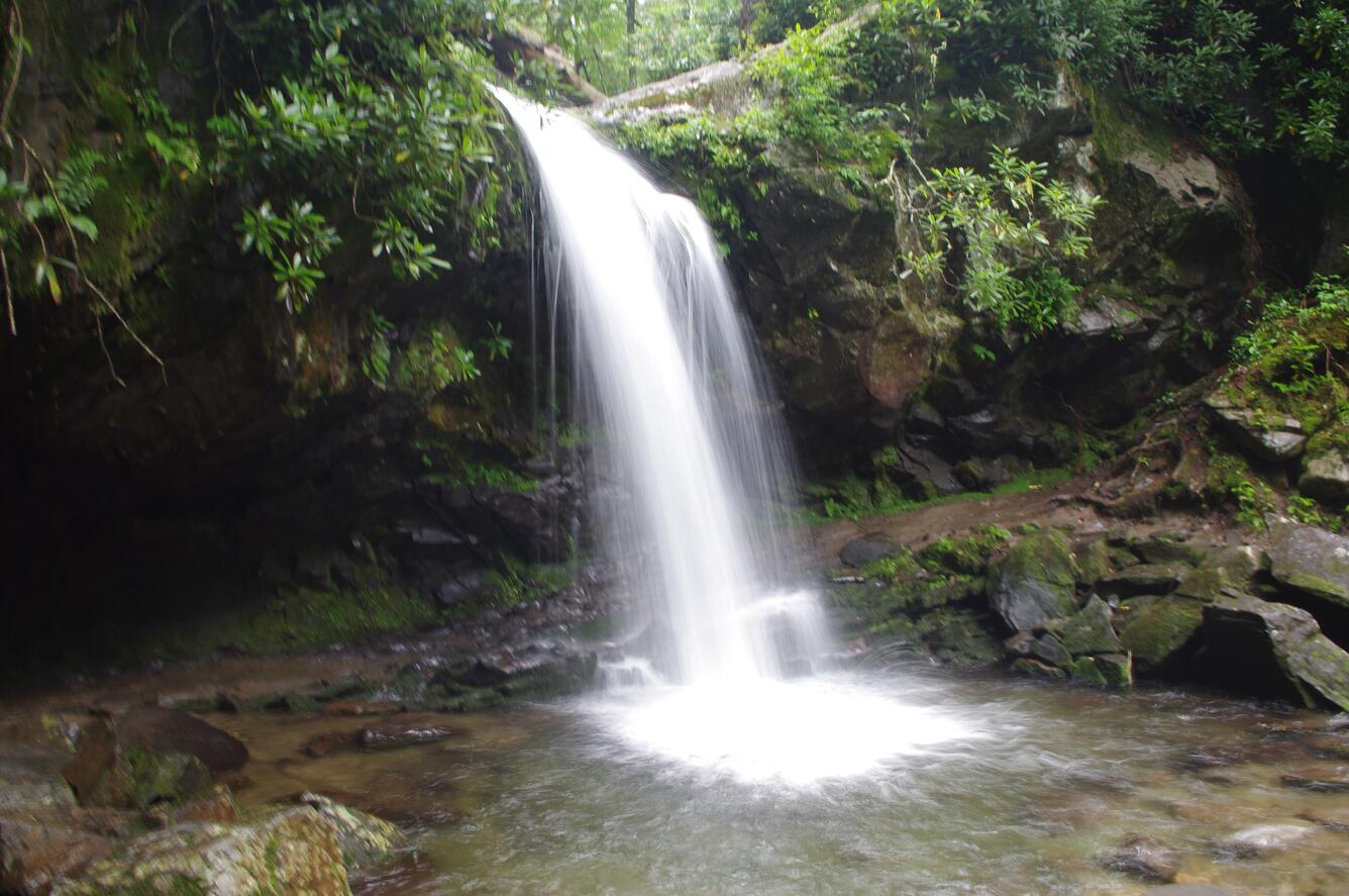 Waterfall in Appalachian Forest