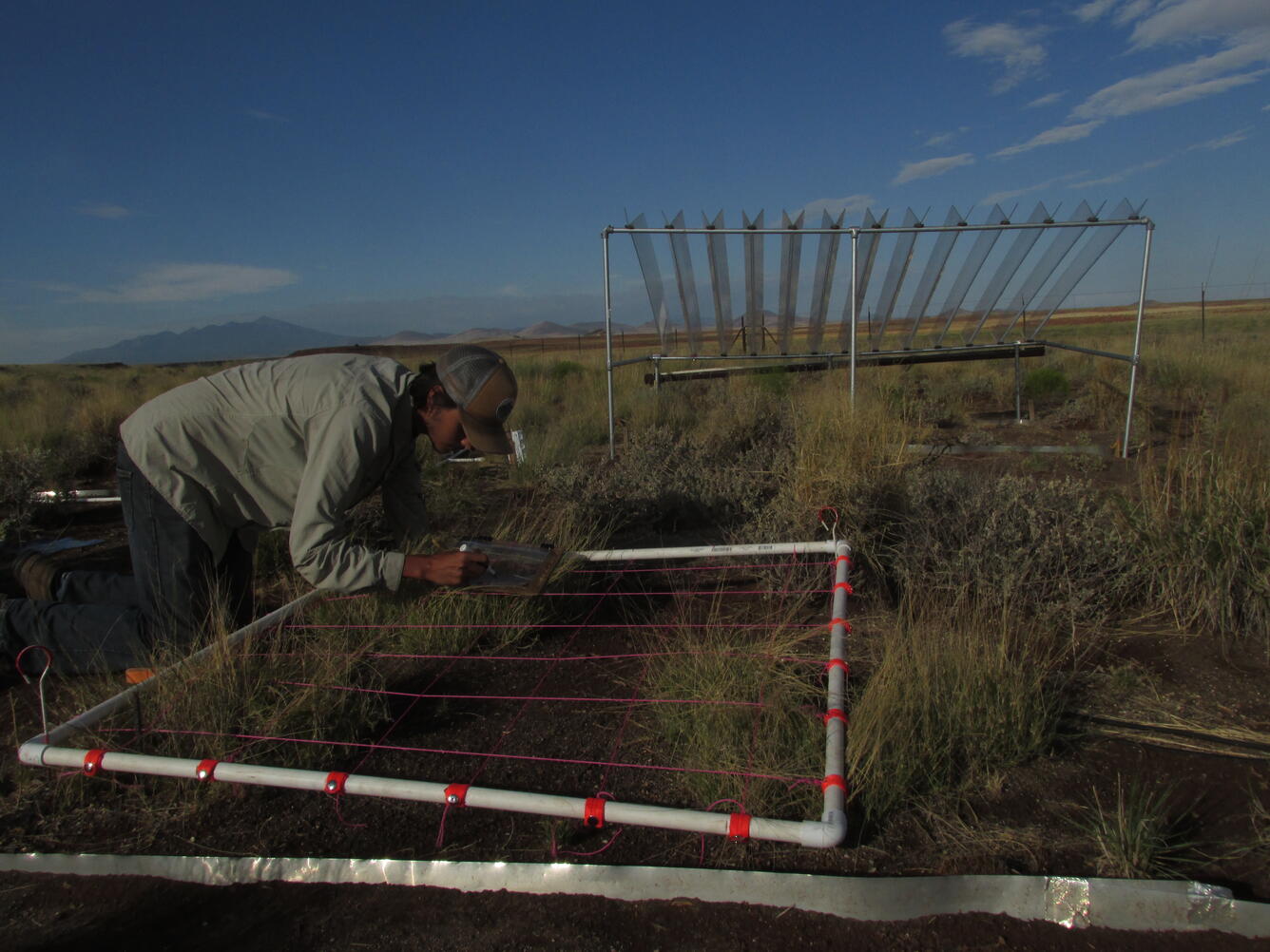 Global Drought Effects - A networked drought experiment and Austin Rueda, hard at work.