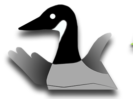 Avian Specialty Veterinary Services