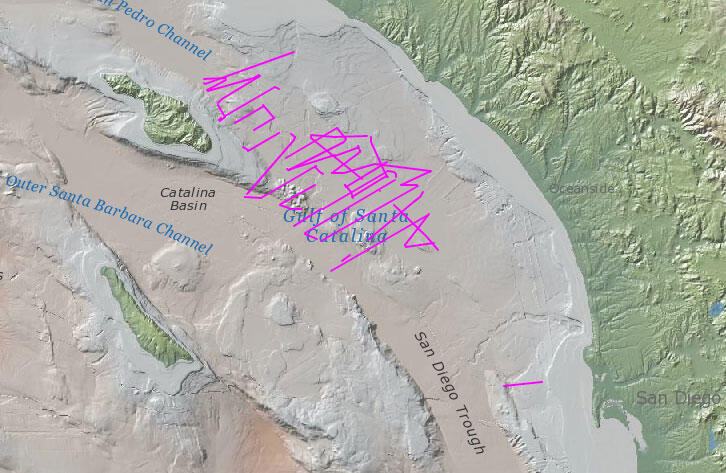 Map of the seafloor off the coast with lines drawn to show the ship's path.