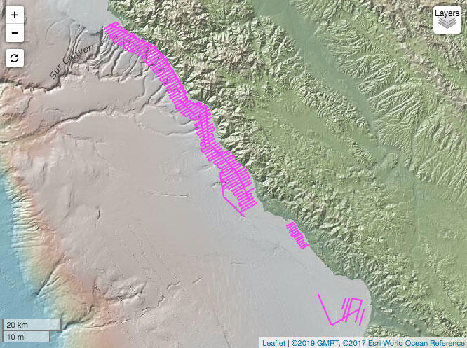 Illustrated map showing a coastal area with a ship's tracklines drawn on to show where data was collected.