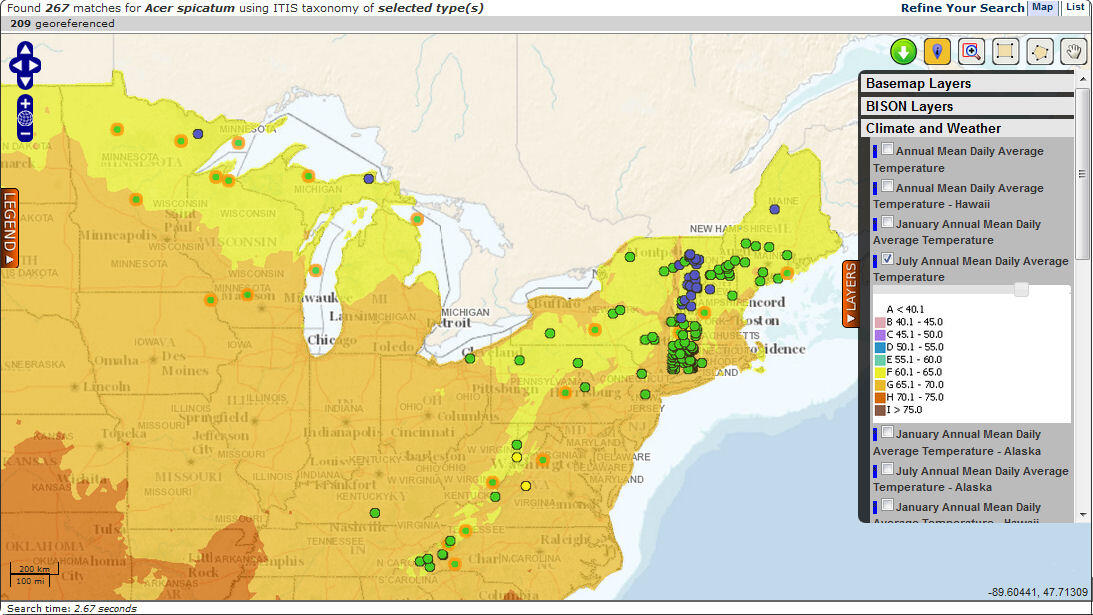 BISON map of mountain maple (Acer spicatum) occurrences layer overplayed with climate and weather layer.