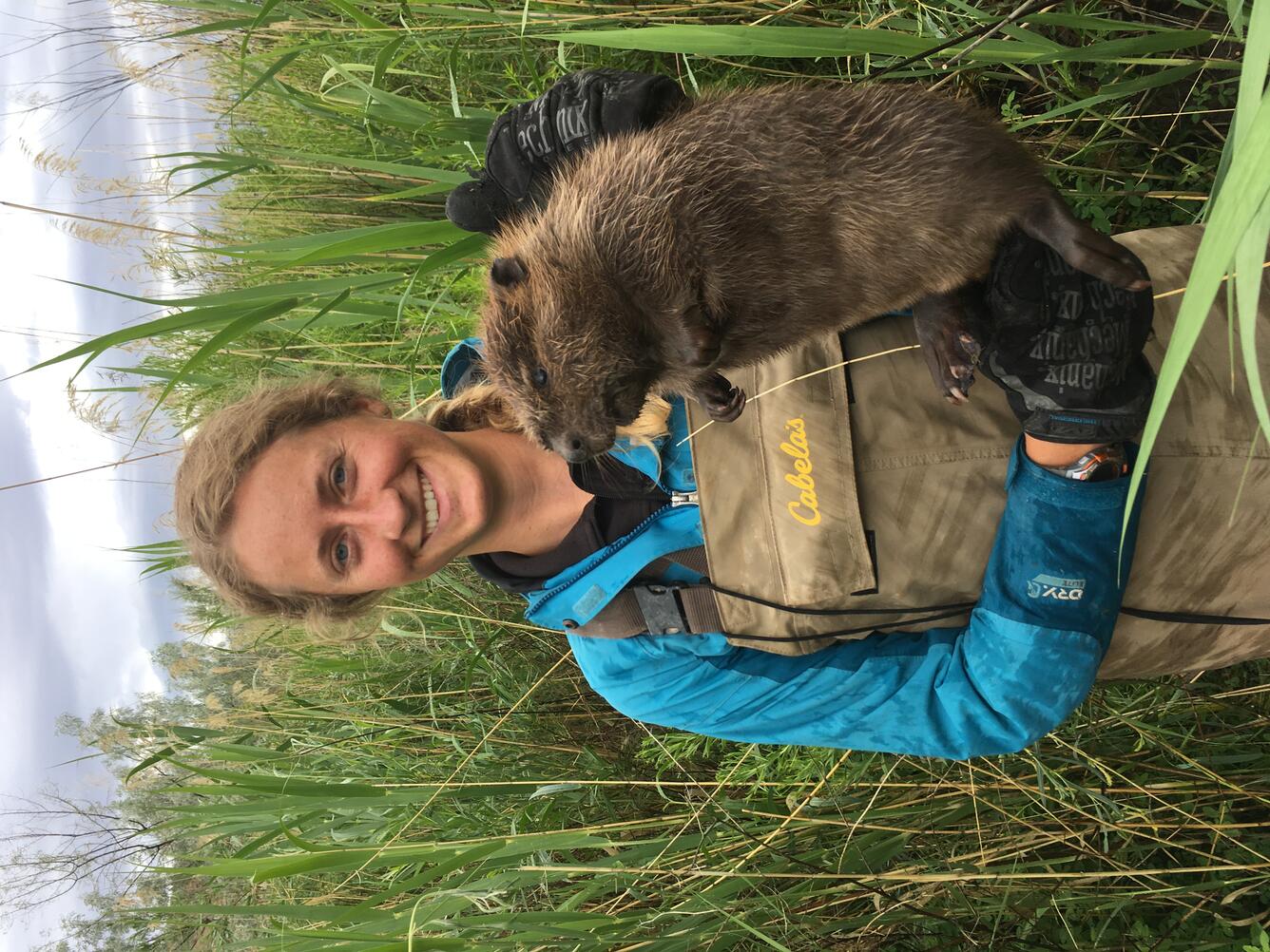 Understanding the Dynamics of Beaver Reintroduction for Passive Desert River