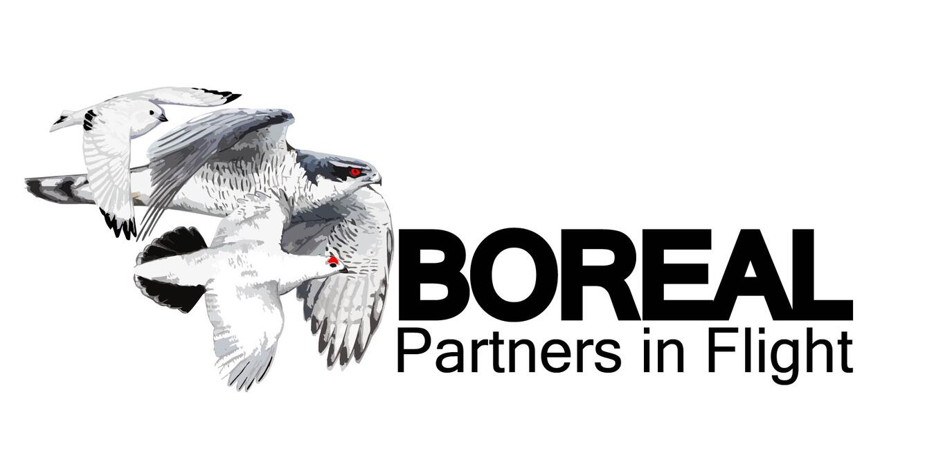 Logo for Boreal Partners in Flight