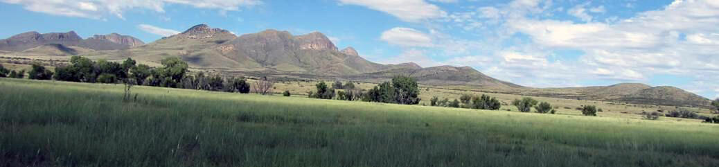 Babocomari background