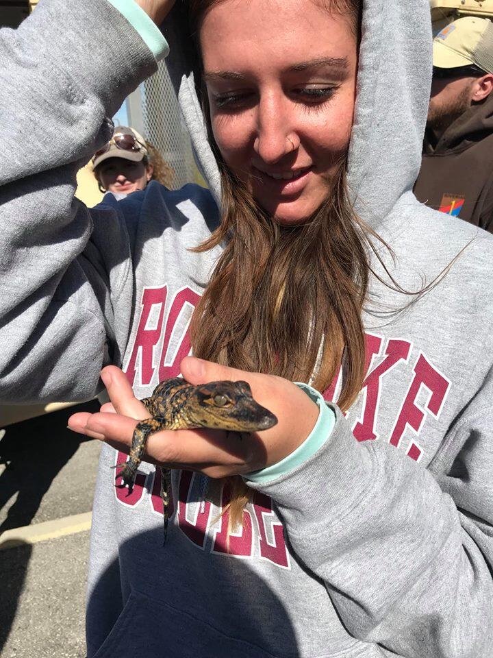 Holding a baby gator in the Everglades