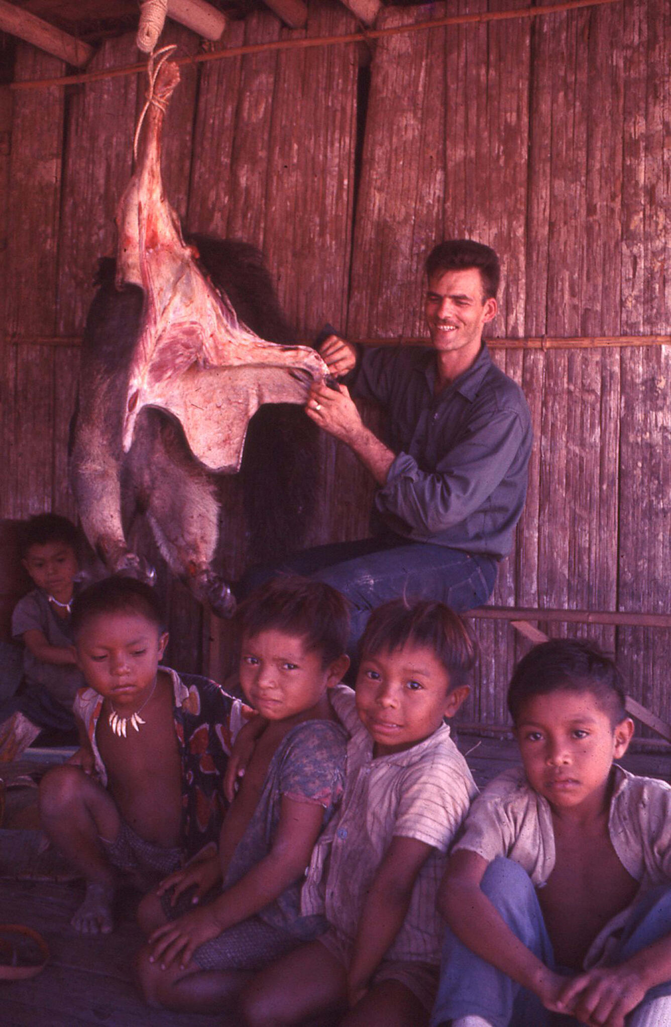 Balta 1966 giant anteater