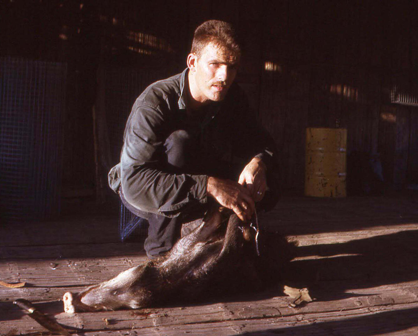 Balta 1968 white lipped peccary