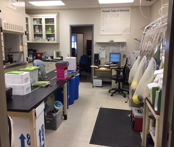 lab with anaerobic chamber, fume hood, computer, lab bench, laboratory supplies and cabinets. 