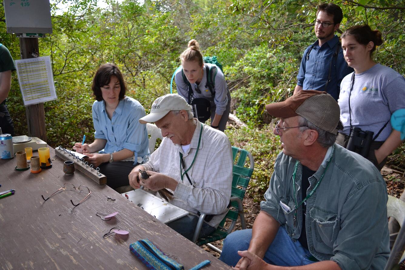 Three bird banders sitting at a table outside with three students watching them process a bird for banding