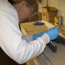 Barbara Martin - Profile Image