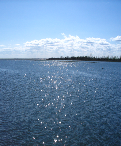 view across Barnegat Bay